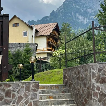 The View Apartment 3 Busteni Exterior photo