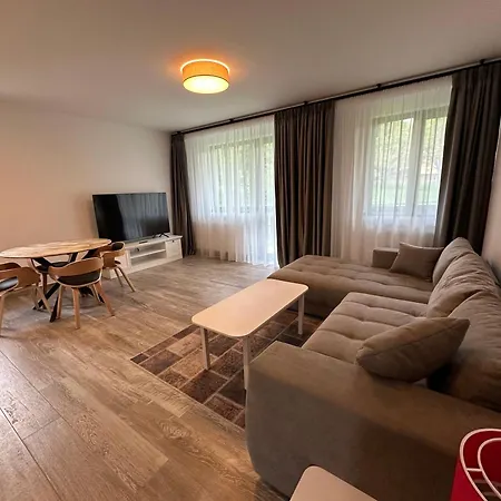 The View Apartment 3 Busteni Exterior photo
