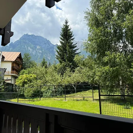 The View Apartment 3 Busteni Exterior photo