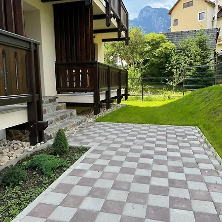 The View Apartment 3 Busteni Exterior photo